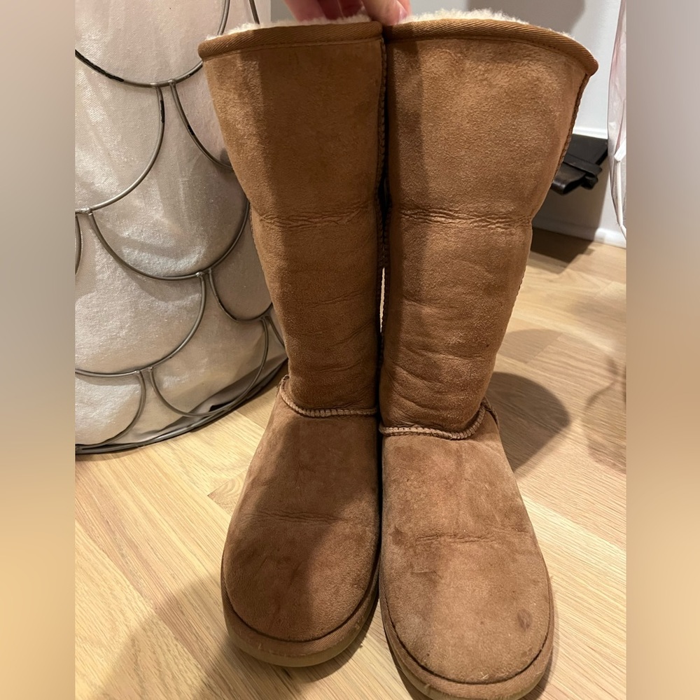 Classic tall chesnut uggs